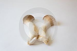 Split open Pleurotus eryngii King Trumpet Mushroom revealing outer texture, food ingredient