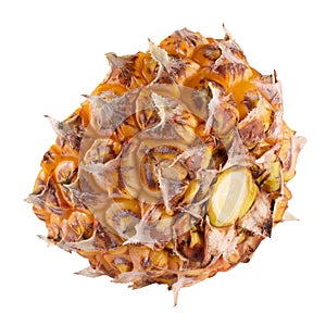 Split Pineapple Fruit isolated on a white background