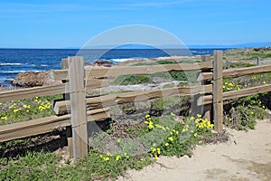 Split-rail fence at Asilomar State beach in Pacific Grove, Calif photo