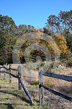 Split Rail Fence by Autumn Field