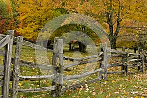 Split Rail Fence and Fall Colors