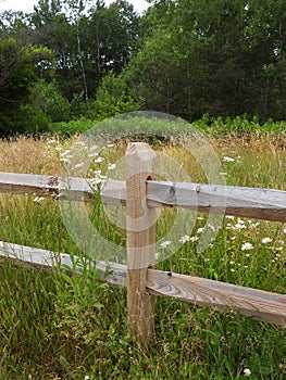 Split rail fence in natural meadow in NewYorkState nature trail