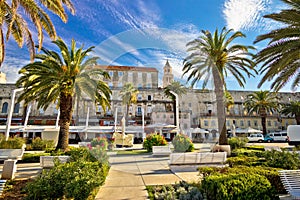 Split Riva palm waterfront view