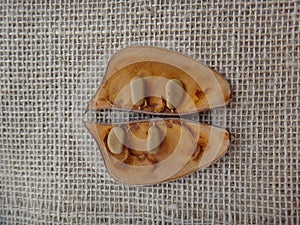 Split seedpod on jute background