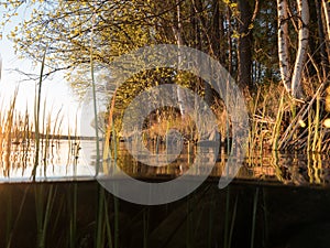 Split shot of lake shore in spring