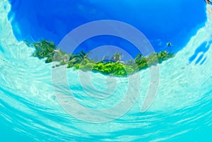 Split shot of tropical island