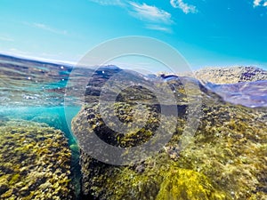 Split uderwater view of Sardinia clear water