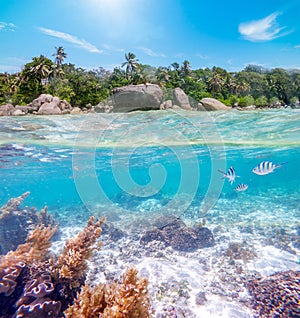 Split underwater view of Anse Royal shore