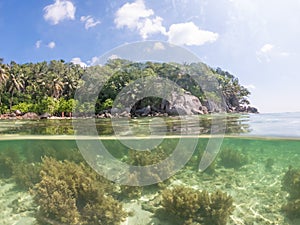 Split underwater view of Anse Royale beach