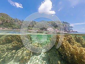 Split underwater view of Anse Royale beach coral reef