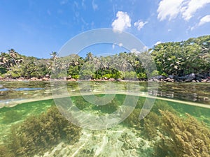 Split underwater view of Anse Royale shore in Mahe island