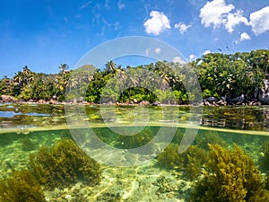 Split underwater view of Anse Royale shoreline