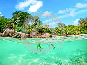 Split underwater view of Anse Severe beach