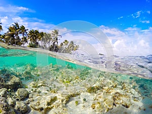 Split underwater view of La Caravelle shore in Guadeloupe