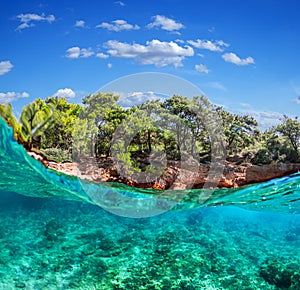 Split view - half underwater view of beautiful seabed and rocky coastline with pine trees, Turkey, Bodrum