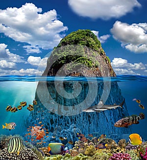 Split view with sky and beautiful coral reef underwater