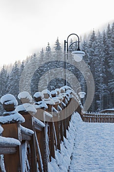 Splitrail fence with fresh snow