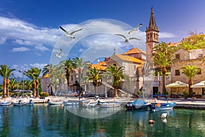 Splitska village with beautiful port and seagull's flying over the village, Brac island, Croatia. Fishing boats in Splitska photo