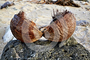 Splitted coconut shell lying on a stone