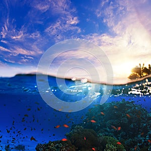 Splitted underwater sunset wet template