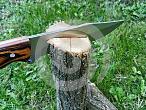 Splitting the log with knife