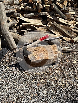 A splitting maul embedded in a log, surrounded by chopped and unchopped firewood on gravel under sunlight photo