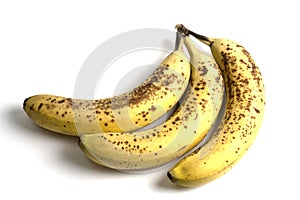 Spoiled bananas photo