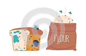 Spoiled Food Set, Mold-covered Bread And Rancid Flour with Flying Insects around Isolated On White Background