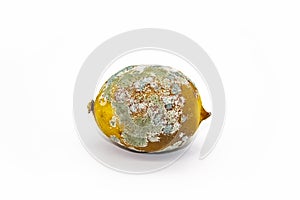 Spoiled lemon on a white background. The lemon is moldy and has begun to rot. The concept of design with a perished lemon