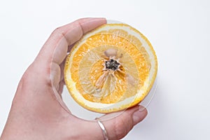 Spoiled orange. The black middle inside the fruit