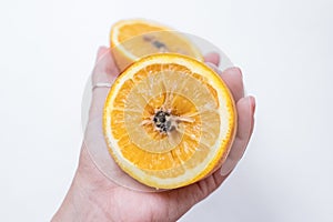 Spoiled orange. The black middle inside the fruit