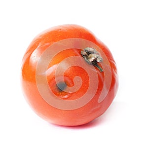 Spoiled tomato on white background