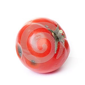 Spoiled tomato on white background