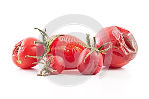 Spoiled tomatoes. Rotten Tomato decomposition isolated