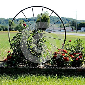 Spoked Wheel Garden Decoration photo