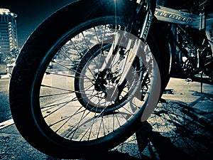 spokes of a bicycle wheel