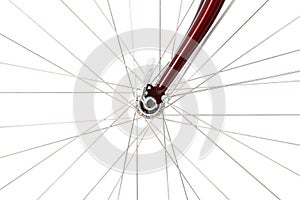 Spokes of a front bicycle wheel photo