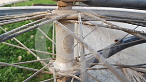 The spokes and the screw of a holland bicycle wheel