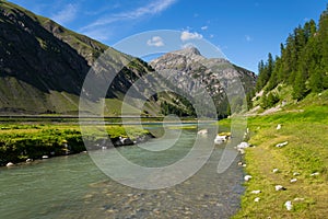 Spol River flowing in Lake Livigno, Corno Brusadella Mountain background photo