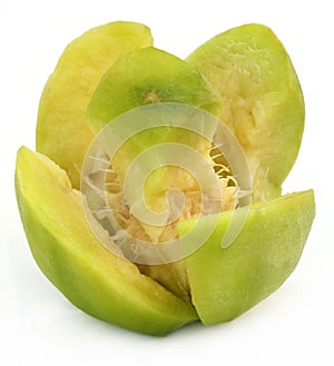 Spondias or hog plum