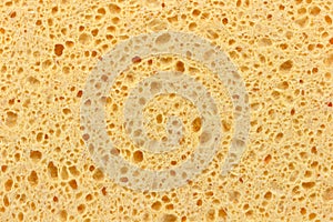 Sponge photo