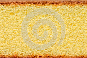 Sponge cake