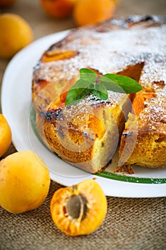 Sponge cake with apricot