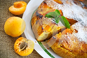 Sponge cake with apricot