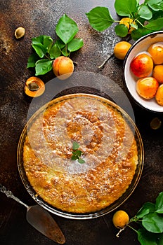 Sponge cake with apricots, dusted with icing sugar