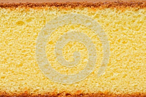 Sponge cake photo