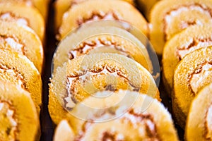 Sponge cake roll slices, with chocolate, vanilla and berry cream.