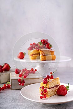 Sponge cake with strawberry jam and vanilla cream decorated with red currant and forest berries