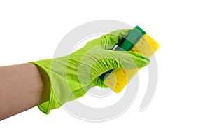 Sponge for dishes in a female hand in a green glove isolated on a white background. Copy space