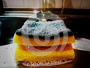 Sponge and the foam on the sink